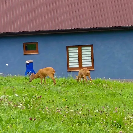 Dom wakacyjny Cztery Pory Roku